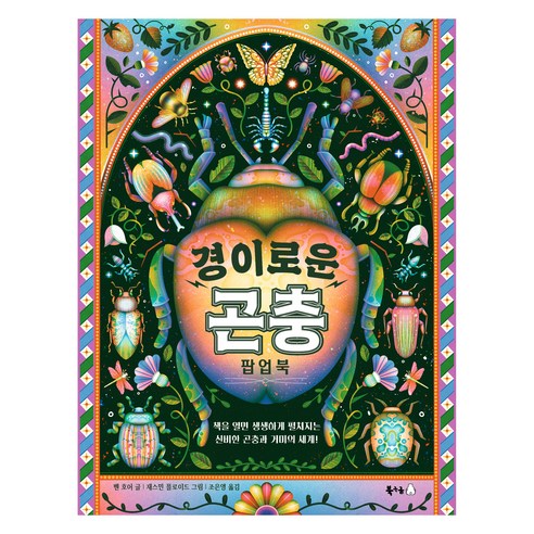 경이로운 곤충 팝업북, 북극곰, 벤 호어, 26권 리플빅뱅