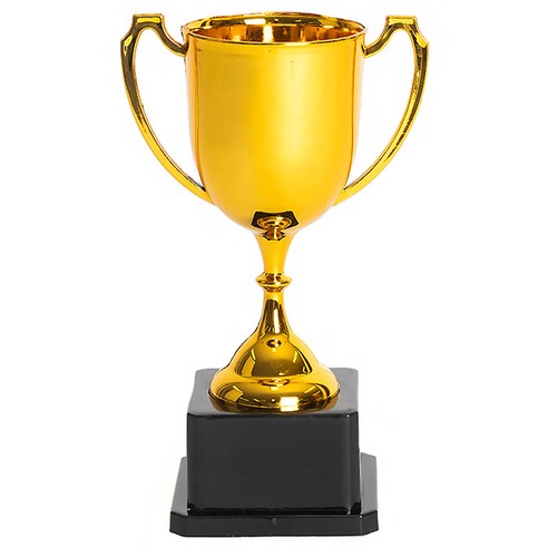 특별한 날, 나만의 작은 영웅을 위한 맞춤 트로피: 조이파티 커스텀 미니 트로피 사용 후기 트로피