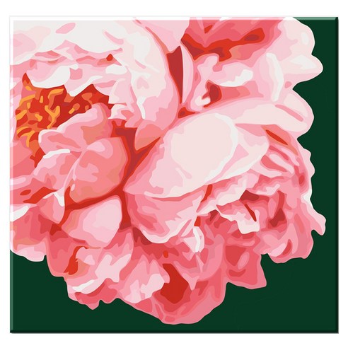 모모픽스페인팅 DIY 명화그리기 세트 40 x 40 cm, F14 핑크 블라썸 모란, 1세트