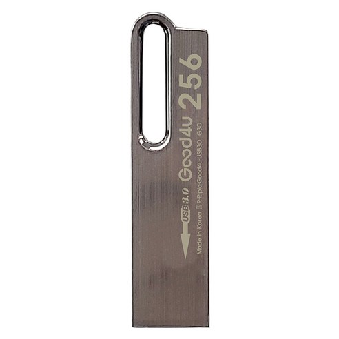 굿포유 G30 USB3.0 메모리, 1개, 256GB