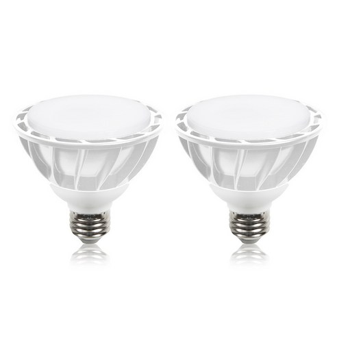 샛별하우스 LED PAR30 E26 확산형 전구 15W 화이트, 주광색, 2개