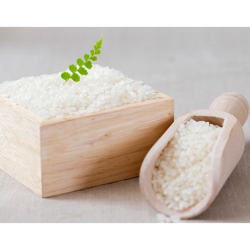2024년 햇살 담은 밥, 더조운 햅쌀 백미로 맛있는 행복을!