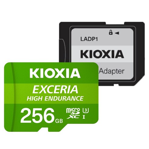 키오시아 EXCERIA HIGH ENDURANCE Micro SD CARD, 256GB, 1개