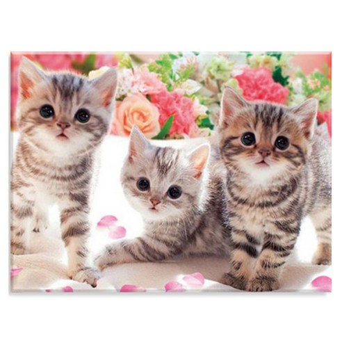 엔픽아트 캔버스형 보석십자수 DIY 키트 40 x 50 cm, MK142 동물 고양이 삼형제, 1개