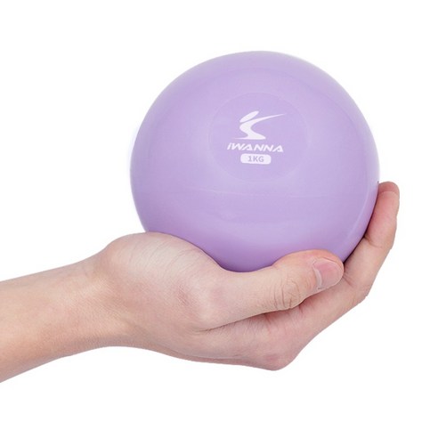 아이워너 토닝 웨이트볼, 오키드퍼플, 1kg, 1개