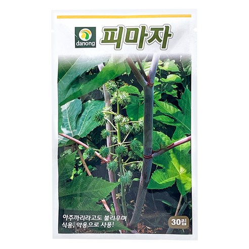 다농 피마자 씨앗 30p, 1개
