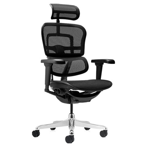 에르고휴먼 HB 의자: 당신의 척추를 위한 최고의 선택, 방문 설치 후기 에르고휴먼