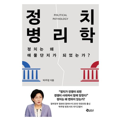 정치병리학:정치는 왜 애물단지가 되었는가?, 새빛, 박주현
