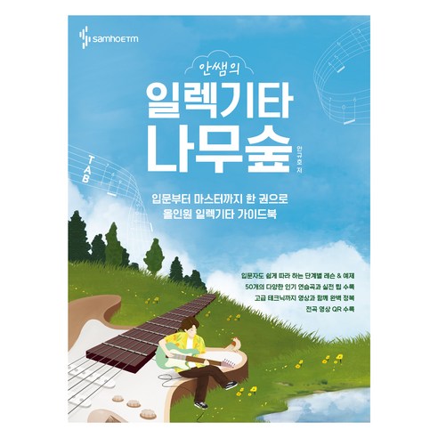 안쌤의 일렉기타 나무숲 - 예술일반/예술사 | 쿠팡