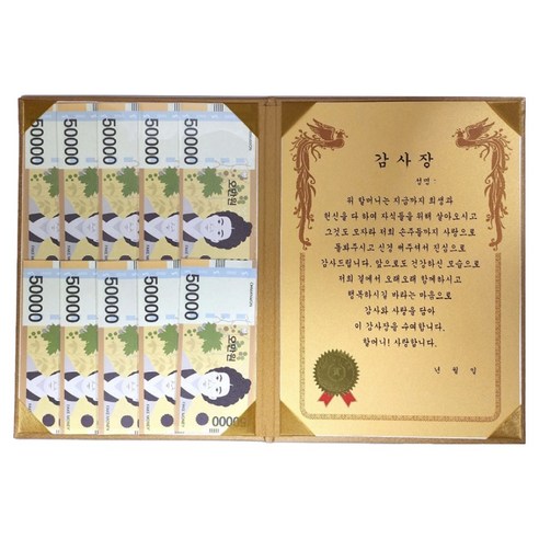 럭키심볼 황금 카네이션 숨어있는 용돈 DIY 속지 + 감사장 케이스 세트, 할머니, 1세트