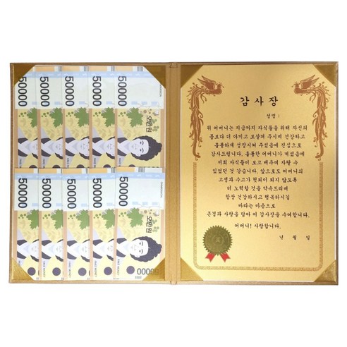 럭키심볼 황금 카네이션 숨어있는 용돈 DIY 속지 + 감사장 케이스 세트, 어머니, 1세트