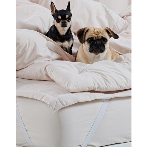 섬세한 당신을 위한 포근한 안식처, 깃든 나란히 알러지케어 매트리스커버