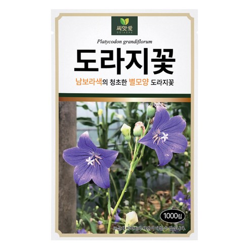 다농 씨앗애 도라지꽃 씨앗 1000p, 1개