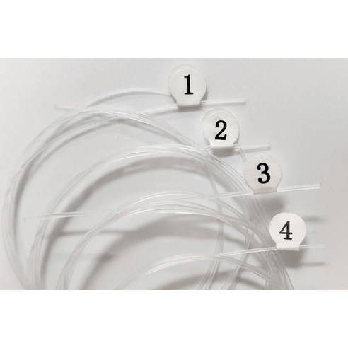 마음을 울리는 선율, 케나즈 우쿨렐레 스트링과 함께