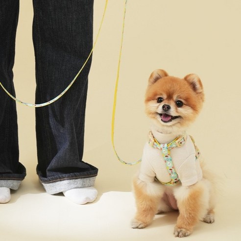 힛찌 강아지 초경량 패턴 부드러운 소형견 H형 하네스, 옐로우민트, 1개