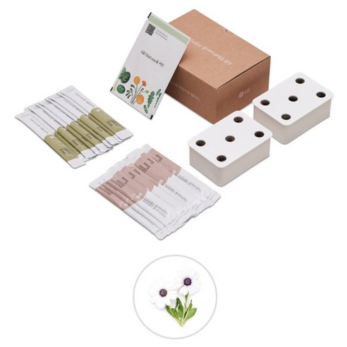 LG전자 틔운 미니용 씨앗키트 세트 오스테오스퍼멈 흰색, LPM37