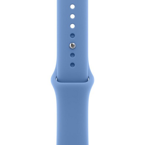 Apple 정품 애플워치 스포츠 밴드, 와일드플라워 블루, 46mm, S/M, 1개