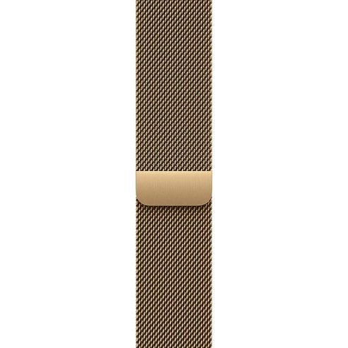 Apple 정품 애플워치 밀레니즈 루프, 래디언트 골드, 46mm, S/M, 1개
