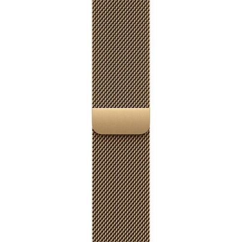 Apple 정품 애플워치 밀레니즈 루프, 래디언트 골드, 40mm, Regular, 1개