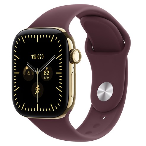 Apple 2026 애플워치 시리즈 12, 래디언트 골드, 42mm, GPS+Cellular, 티타늄, 버건디 스포츠 밴드, M/L