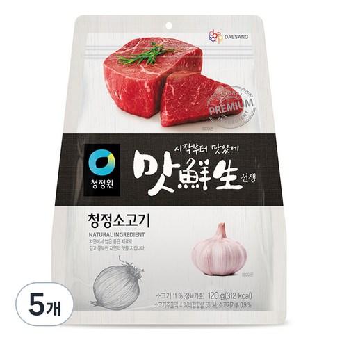 맛선생 청정 소고기, 120g, 5개