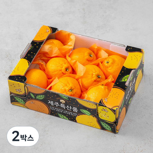 귤탐 한라봉
