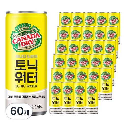 캐나다드라이 토닉워터, 60개, 250ml