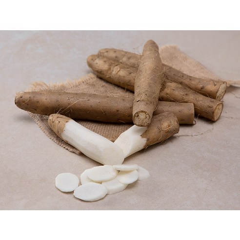 속 불편함, 이제 안녕! 마와 함께 편안한 하루를 시작하세요.