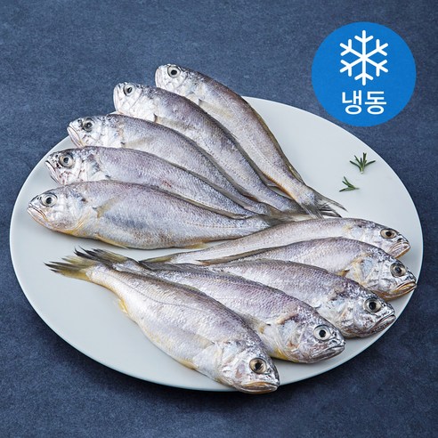 초록바다 영광굴비 (냉동), 0.8kg(10미), 1개