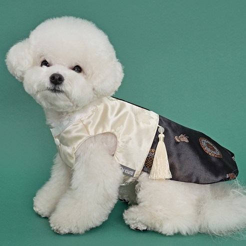 한복을 착용한 아름다운 반려동물, 아우터 형태의 애견용품, 강아지 한복