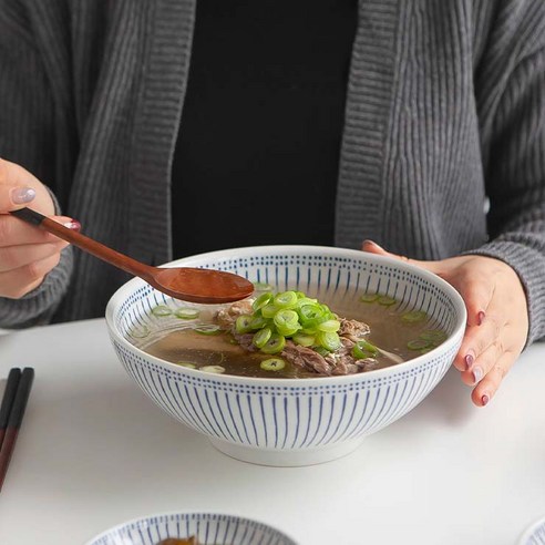 Nicott nicott 日式盤子 冷面 湯碗 款待 拉麵機 素面機 烏冬麵碗 拉麵碗