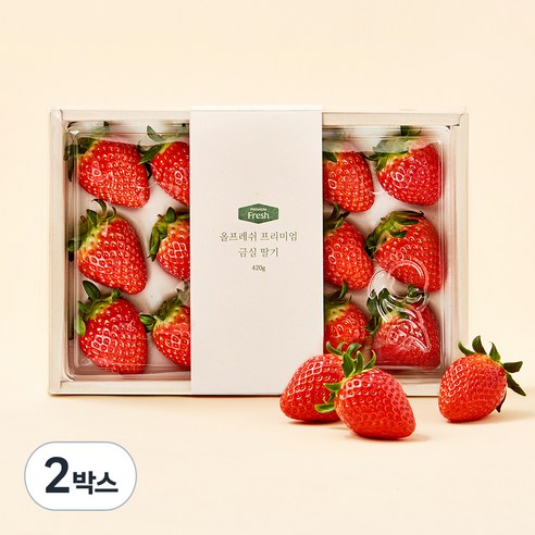 올프레쉬 GAP 인증 프리미엄 금실 딸기, 420g, 2박스