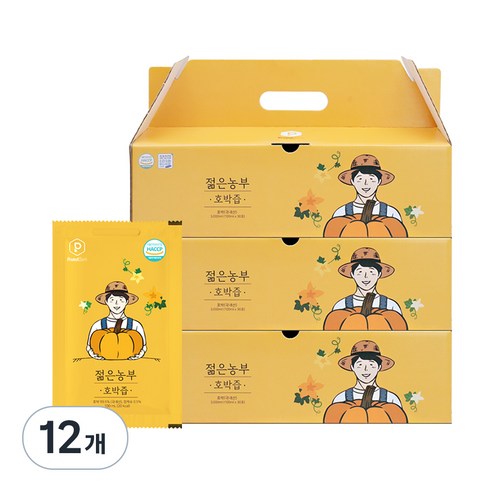 푸릇담 젊은농부 호박즙, 3L, 12개