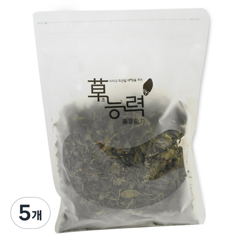 초능력 녹차, 100g, 5개