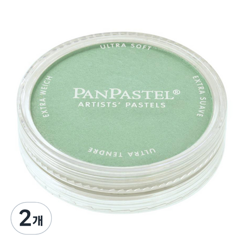 팬파스텔 신한화구 파스텔 PEARLESCENT GREEN 956.5, 1색, 2개