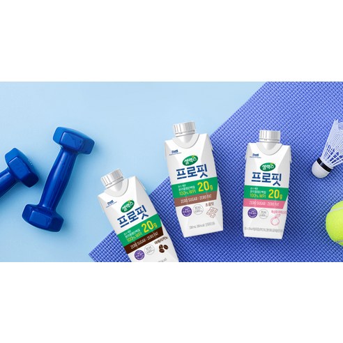 셀렉스 프로핏 웨이프로틴 초콜릿, 330ml, 24개