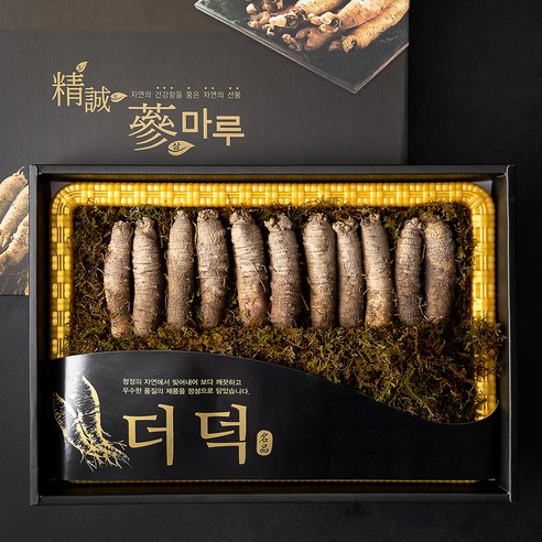 추석선물세트  몸애조화 더덕 선물세트, 600g, 1세트