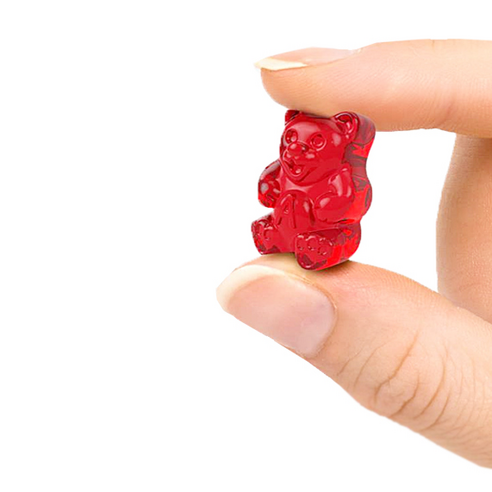 알록달록한 행복, 알바니즈 구미베어와 함께하는 달콤한 순간