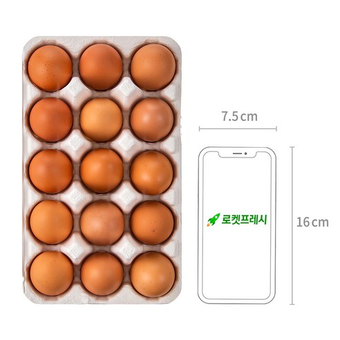 건강하고 맛있는 선택을 위한 곰곰 무항생제 신선한 대란