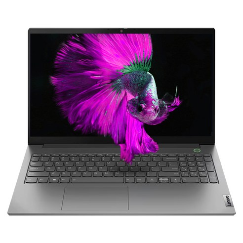 레노버 2023 씽크북 15 G5 ABP 15 라이젠5 라이젠 7000 시리즈, 미네랄 그레이, 256GB, 16GB, WIN11 Home, ThinkBook 15 G5 ABP - 21JF0007KR