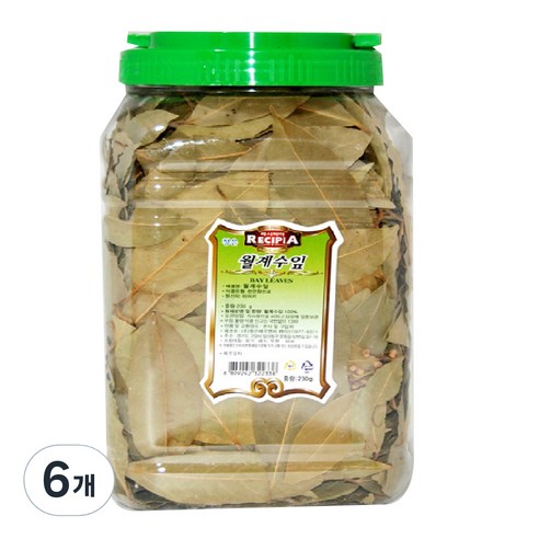 청은 월계수잎, 230g, 6개