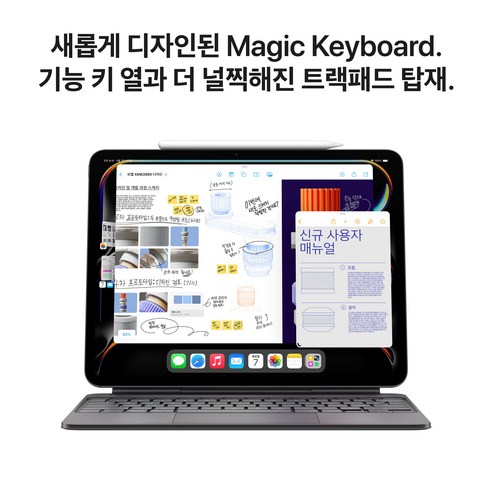 Apple 정품 2024 아이패드 프로 11 M4칩 스탠다드 글래스, 스페이스블랙, 256GB, Wi-Fi