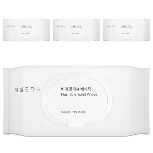 생활공작소 비데 물티슈 베이직 캡형, 100매, 4개