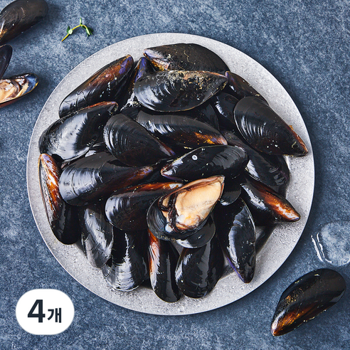 아라보감 산지직송 생물 홍합 (냉장), 4개, 1kg