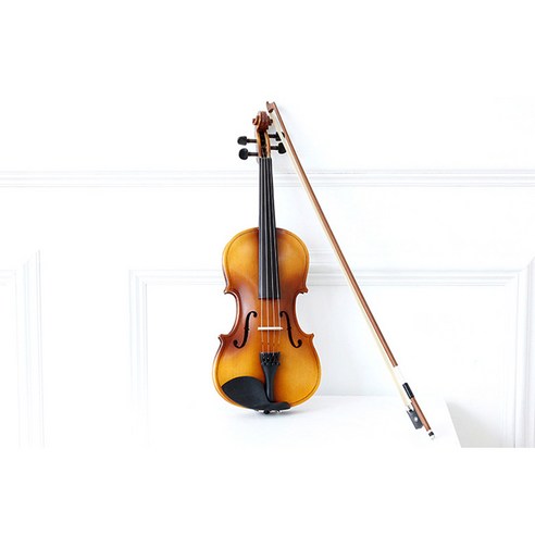 꿈을 연주하다, 티커스텀 바리우스1 바이올린