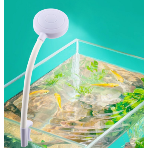 작은 빛으로 시작하는 풍요로운 아쿠아 라이프