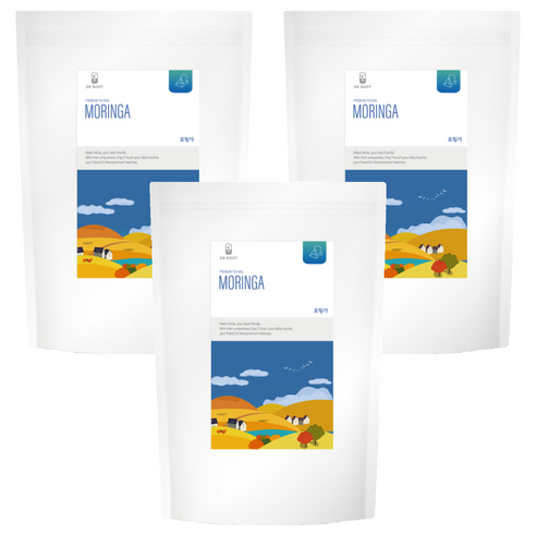 닥터루트 모링가차 삼각티백, 1.2g, 100개입, 3개