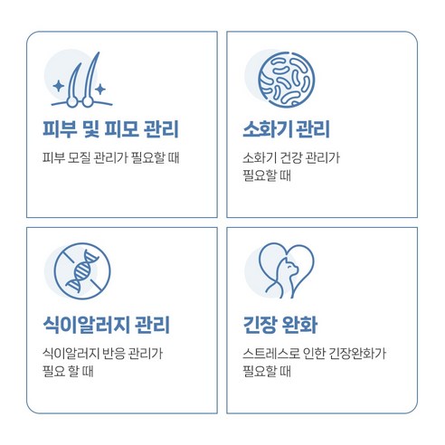 고양이의 피부와 알레르기 관리를 위한 최적의 처방식 사료: 레시피브이 스킨앤알러지