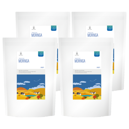 닥터루트 모링가차 삼각티백, 1.2g, 100개입, 4개