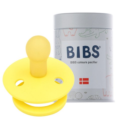BIBS 데니쉬 공갈 젖꼭지 + 하드케이스, 1단계(0~6개월), 파인애플